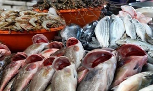 أسعار الأسماك في مصر اليوم 2020