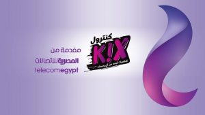 تفاصيل عرض الكنترول كيكس MAX للموبايل من شبكة WE