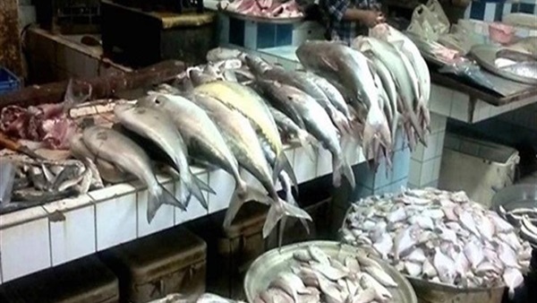 اسعار السمك اليوم في السعودية 2024